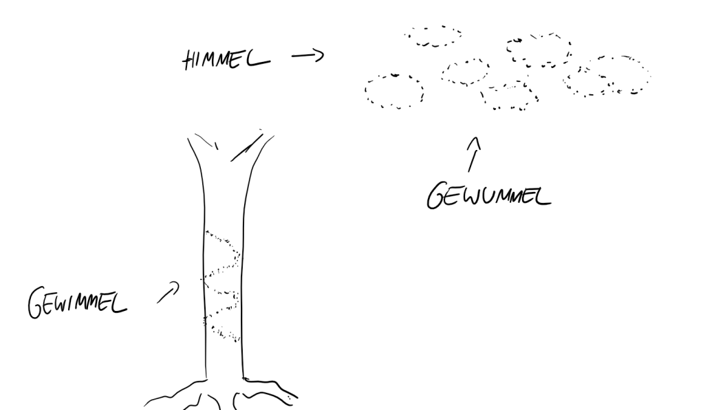 Naturbeobachtung